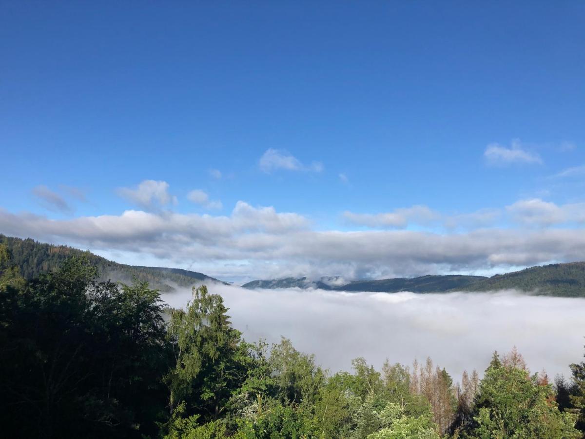 Le gîte cozy de Bouvacôte avec vue panoramique Le Tholy Exterior foto