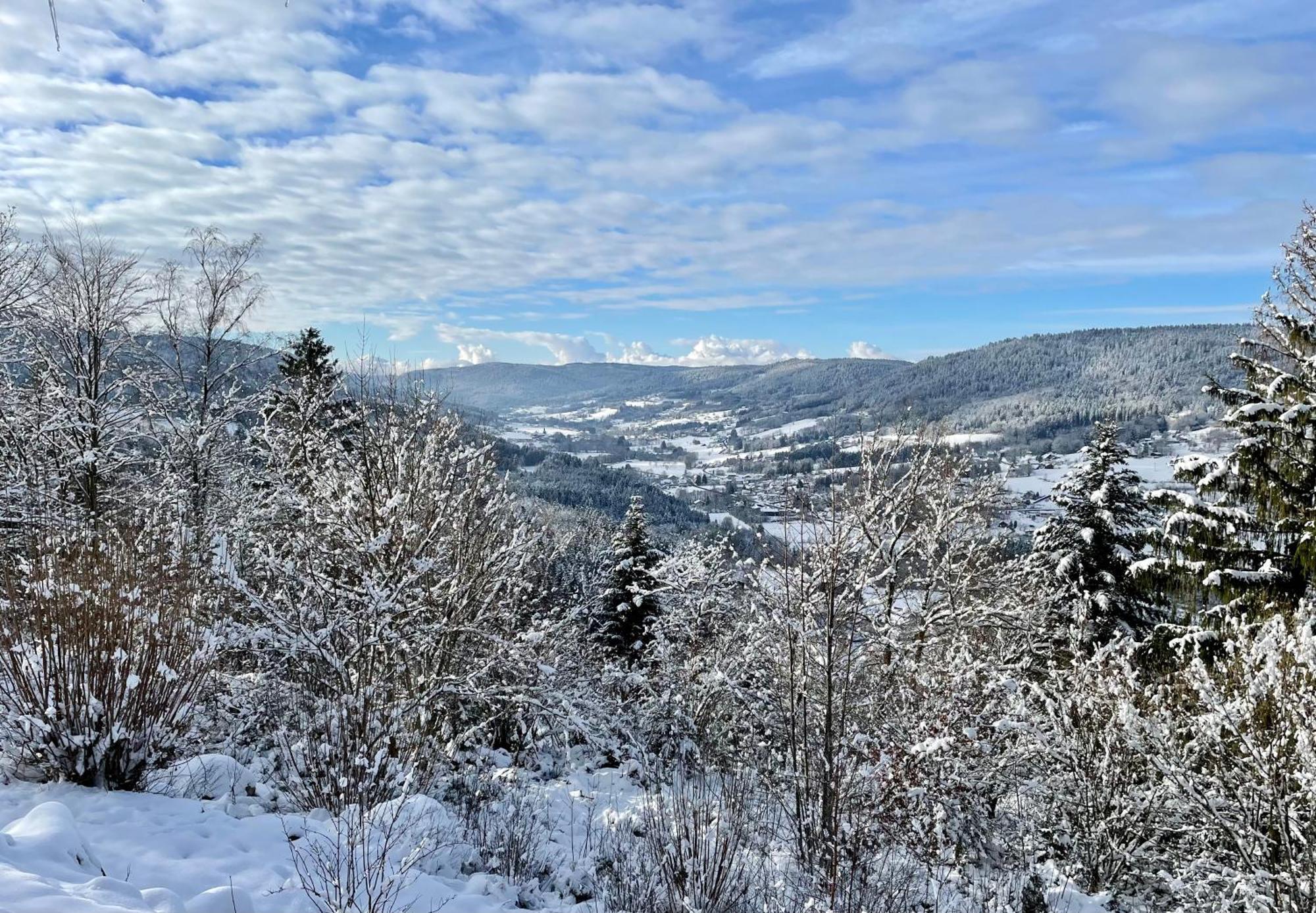 Le gîte cozy de Bouvacôte avec vue panoramique Le Tholy Exterior foto