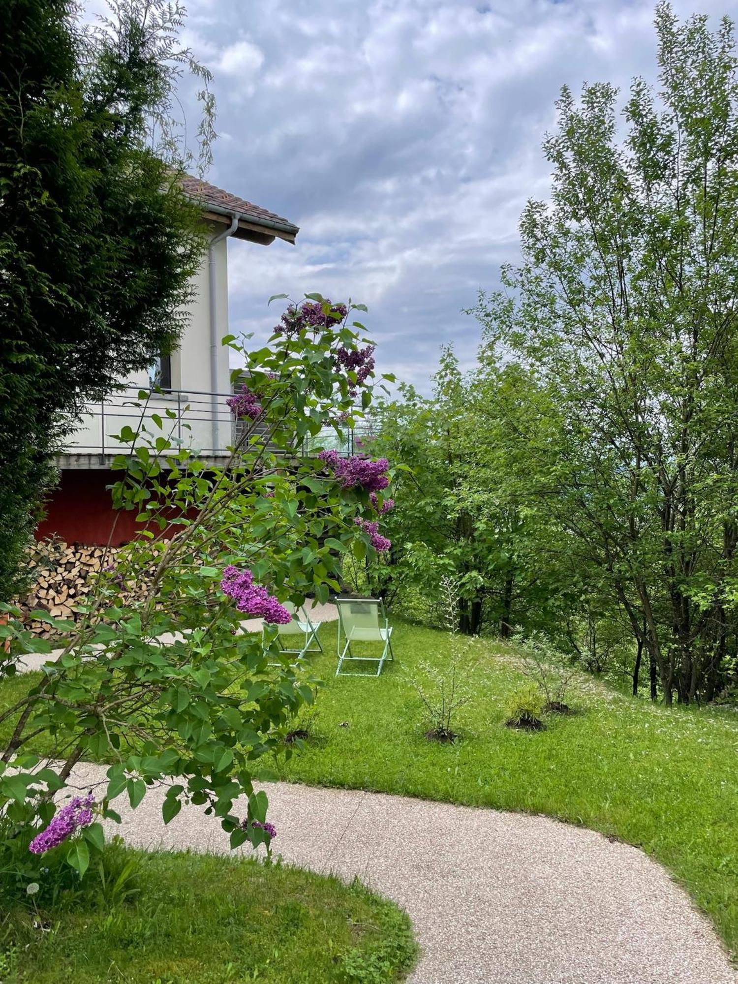 Le gîte cozy de Bouvacôte avec vue panoramique Le Tholy Exterior foto